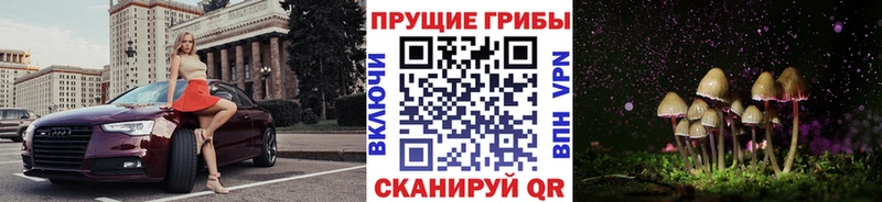 Псилоцибиновые грибы мухоморы  Новосибирск 