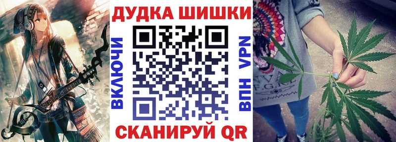 Конопля планчик  купить наркотик  МЕГА   Новосибирск 